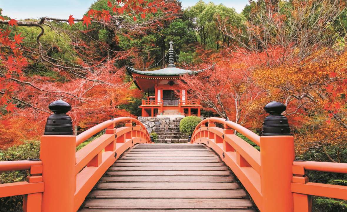 Regent - Japanese autumn fall. Kyoto Daigoji temple