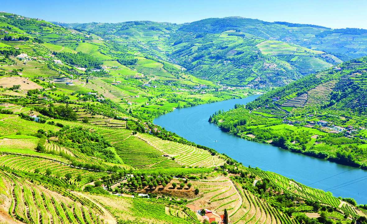 Douro-Valley-Portugal-Scenic-European-River-Cruising