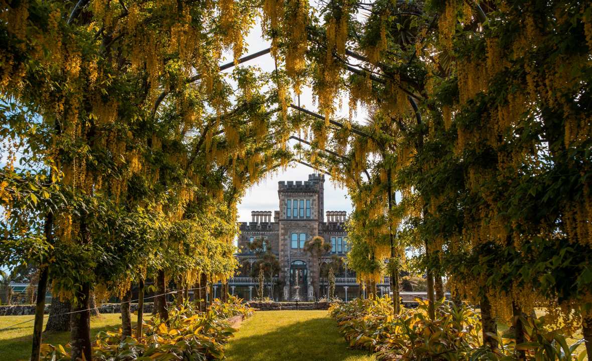 GPT Larnach castle NZ