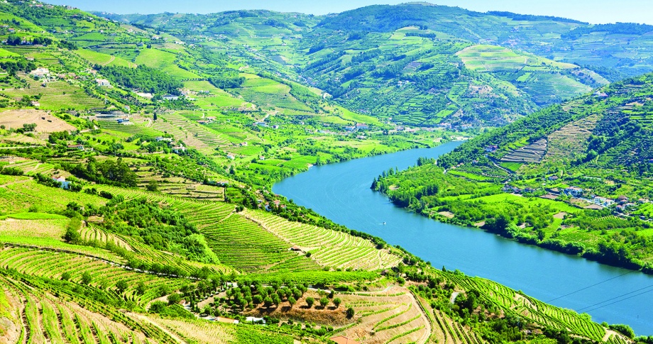 Douro-Valley-Portugal-Scenic-European-River-Cruising