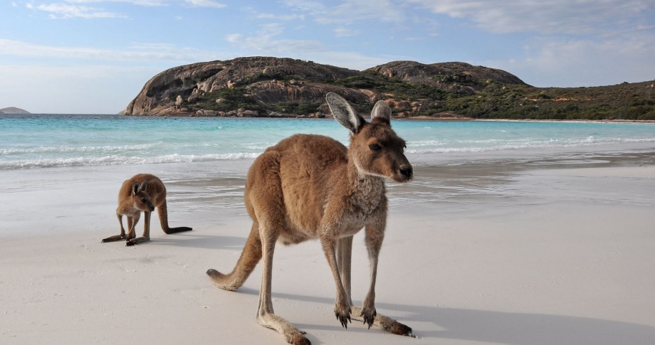 kangaroo island
