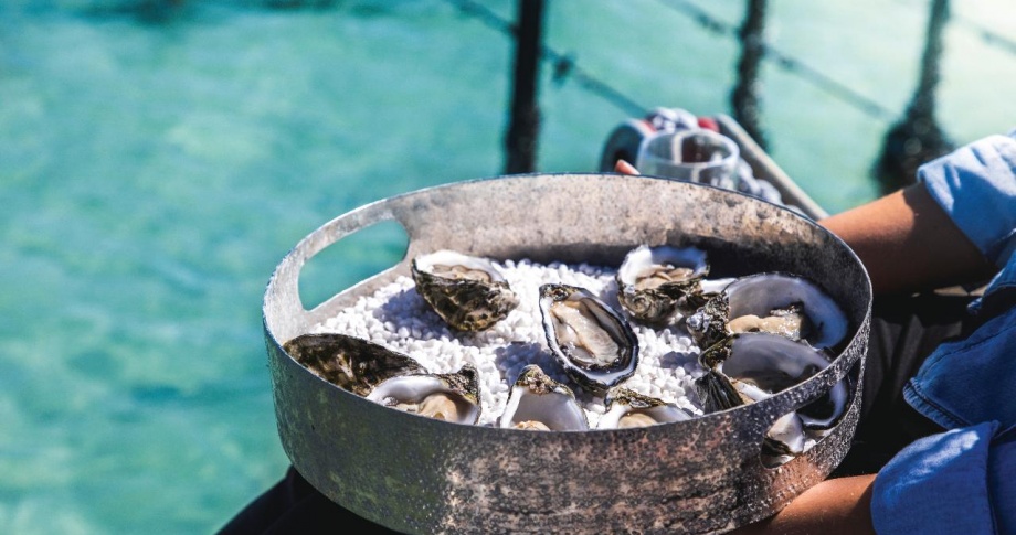 Coffin Bay Oysters 2