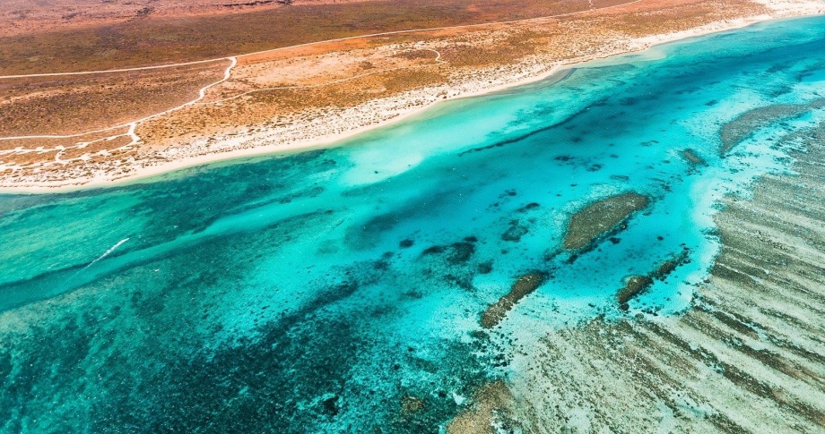 Ningaloo-Reef-Exmouth-Western-Australia-Scuba-Diving-Banner