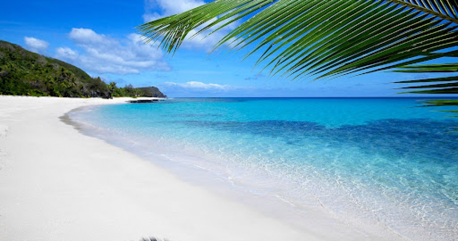 Fiji Palm tree beach