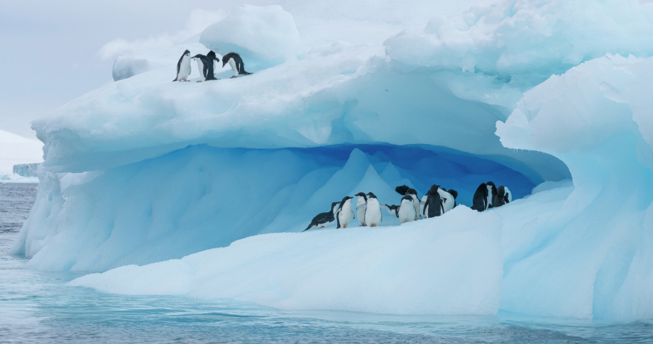 Antarctica Hurtigruten