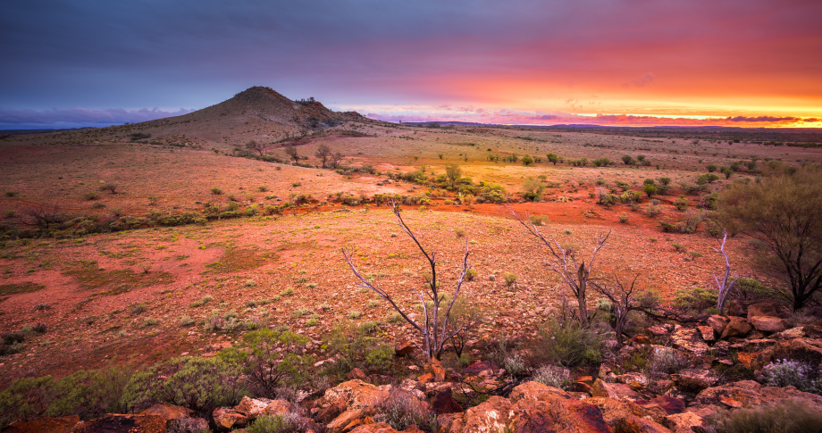 Alice Springs 