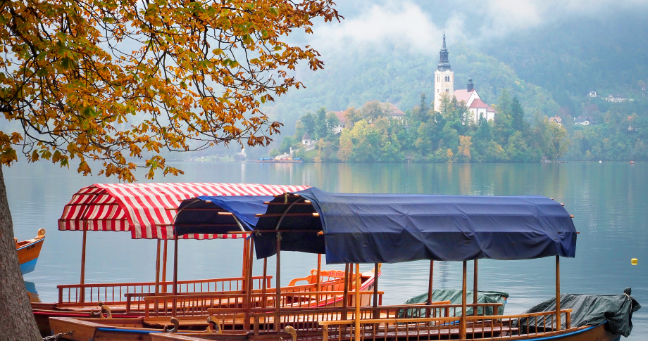 EU - Slovenia - Lake Bled Boats by David Hein