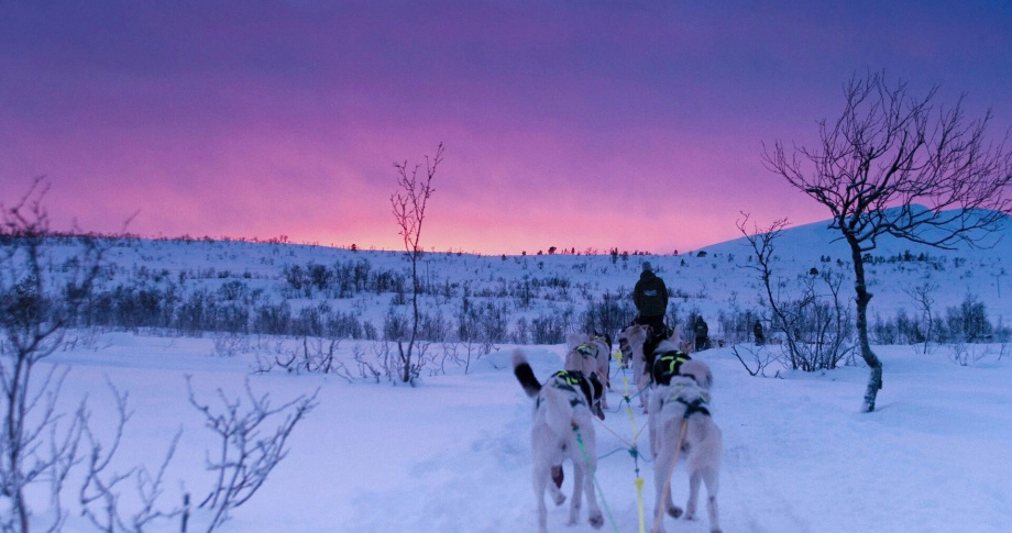 Savour the Northern Lights - Hurtigruten Signature voyage