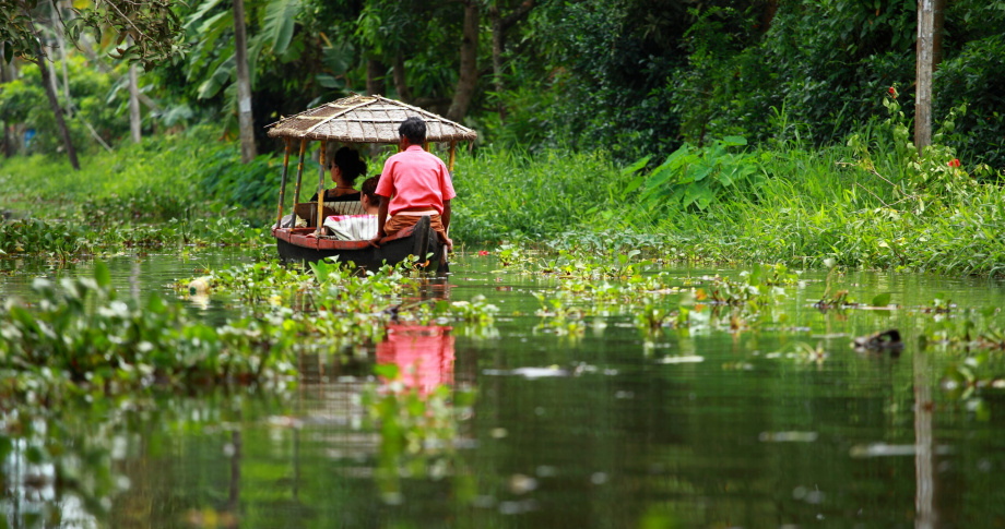 Tropical Forest Cochin India_gkn84b-scaled