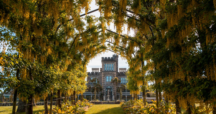 GPT Larnach castle NZ