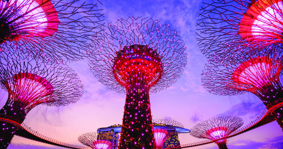 Singapore gardens by the bay