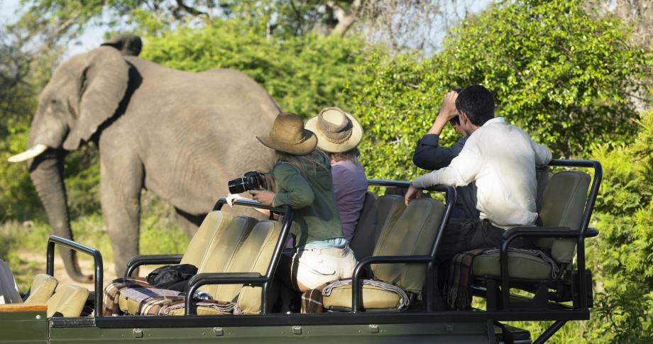 Elephant-safari-vehicle-Africa