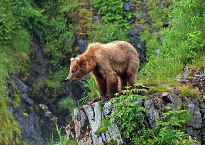 Map of The Rockies & Alaska's Natural Wonders