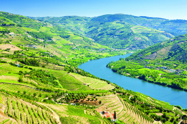Douro-Valley-Portugal-Scenic-European-River-Cruising