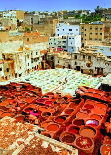 Fez-Morocco-Leather-Tanners-view-experience-traditional-colours