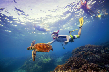 Snorkelling Great Barrier Reef