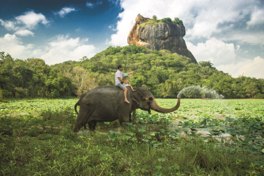 Sigiriya-Elephant