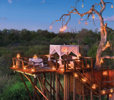 Luxury-dining-Africa-treetops