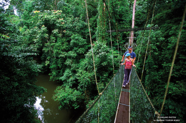 Mulu National Park Canopy Skywalk Malaysia